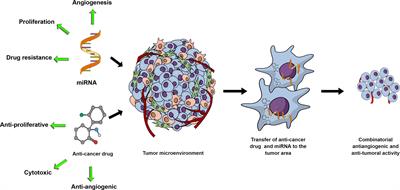 MiRNAs as Anti-Angiogenic Adjuvant Therapy in Cancer: Synopsis and Potential